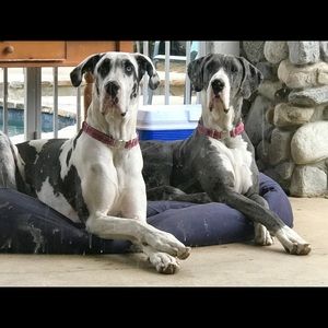 Meet your Posher, Tamera